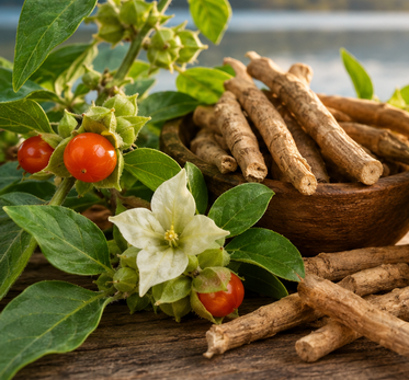 Ashwagandha, a stresszmenedzser