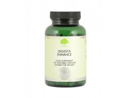 EMÉSZTÉST SEGÍTŐ KOMPLEX (DIGESTA ZYMES) 120 KAPSZULA (G&G)