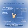 Tribulus vemoherb 90 kapsúl 3