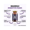 Brainmax digestive infografika