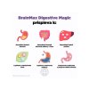 Digestive prispiva infografika brainmarket