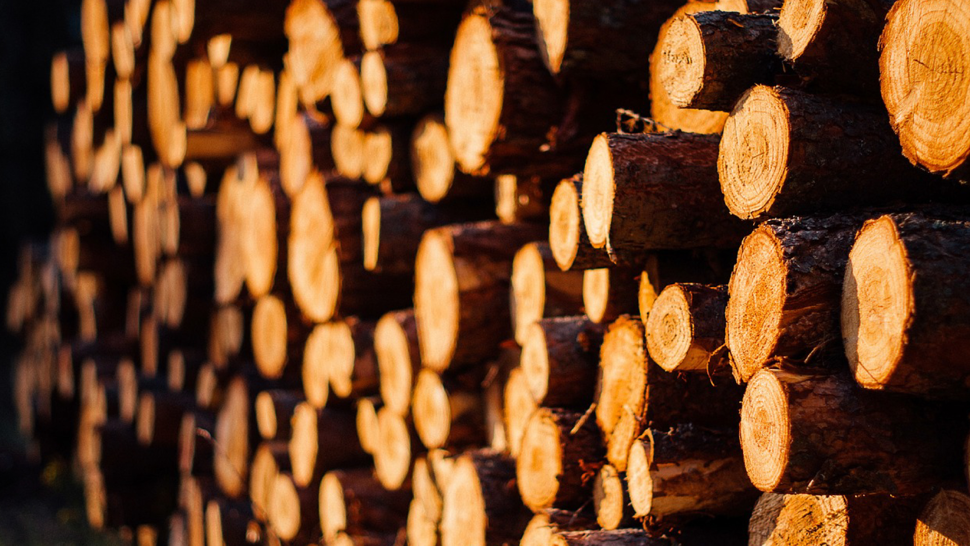 Zpracování dřeva - řezivo