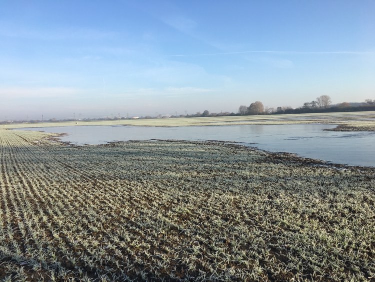 Bobrava - 5. etapa trailového poháru