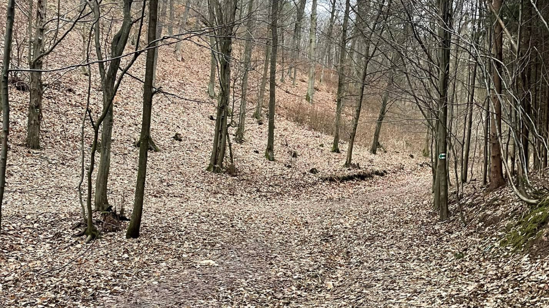 7. etapa Galago trailového poháru