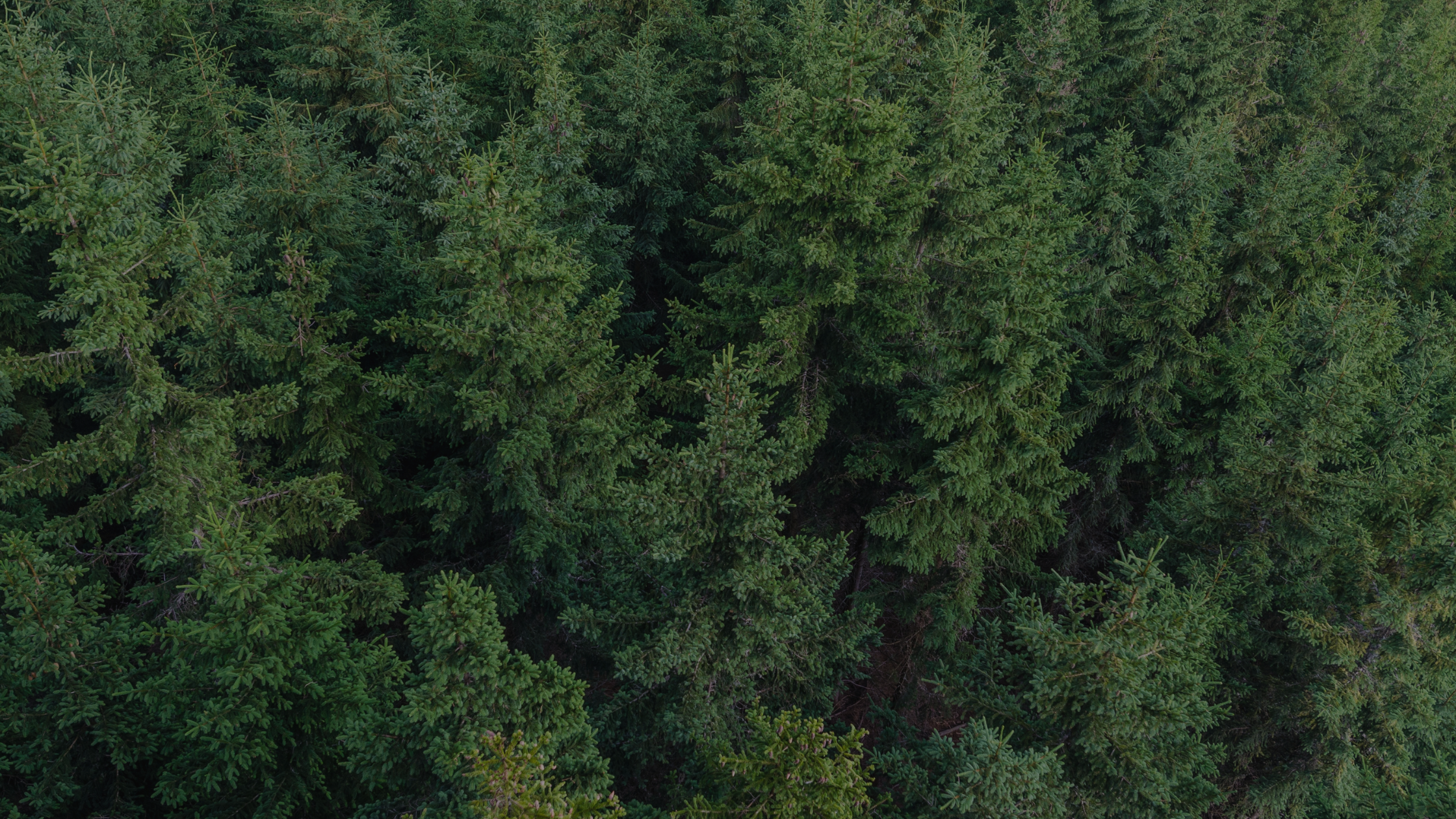 8. etapa Galago trailový pohár