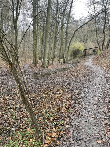 Holedna - 6. etapa trailového poháru