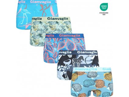 5-PACK Dámských nižších boxerek 8806 Gianvaglia (Barva Mix barev viz foto, Velikost XL/XXL)