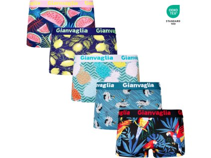 5-PACK Dámských nižších boxerek Tropy 8872 (Barva mix 5 vzorů viz foto, Velikost S/M)