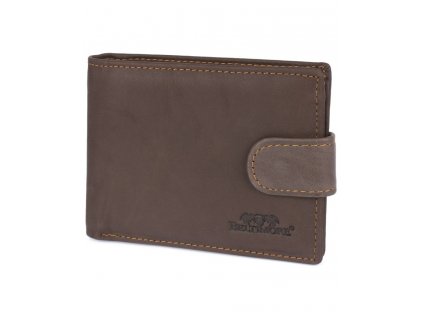 I46brown (2)