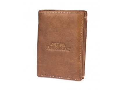 I43brown (1)