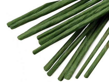 Floristický drát Ø2,5 mm, délka 40 cm (Varianta 1 zelené kapradí, Balení 20 ks)