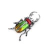 Brož brouk (Varianta 3 zelená oranžová, Balení 1 ks)