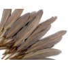 Kachní peří délka  9-14 cm (Varianta 10 černá, Balení 1 sáček)