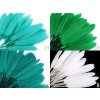 Kachní peří délka  9-14 cm (Varianta 10 černá, Balení 1 sáček)