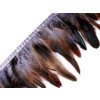 Prýmek - kohoutí peří 8-12 cm (Varianta 6 zelená irská, Balení 1 m)