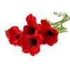 Umělý vlčí mák (Varianta 3 červená, Balení 1 ks)