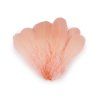 Husí peří délka 14-18 cm (Varianta 18 černá, Balení 10 ks)