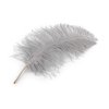Pštrosí peří délka 50-55 cm (Varianta 1 bílá, Balení 1 ks)