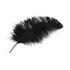Pštrosí peří délka 50-55 cm (Varianta 1 bílá, Balení 1 ks)