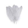 Husí peří délka 12-21 cm (Varianta 1 bílá, Balení 20 ks)