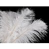 Pštrosí peří délka 40-45 cm nebělené (Varianta bílá přírodní, Balení 1 ks)