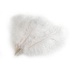 Pštrosí peří délka 40-45 cm nebělené (Varianta bílá přírodní, Balení 1 ks)