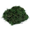 Dekorační mech 50 g (Varianta zelená, Balení 1 ks)