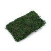 Dekorační mech 50 g (Varianta zelená, Balení 1 ks)