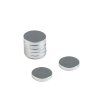 Magnet Ø10 mm (Varianta barva nikl, Balení 60 ks)