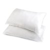 Polštář / výplň PES duté vlákno 30x50 cm 350 g (Varianta bílá, Balení 2 ks)