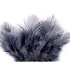 Bažantí peří délka 5 - 11 cm (Varianta 1 bílá, Balení 20 ks)