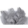 Bažantí peří délka 5 - 11 cm (Varianta 1 bílá, Balení 20 ks)