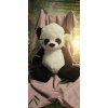 Panda plyšák 60cm