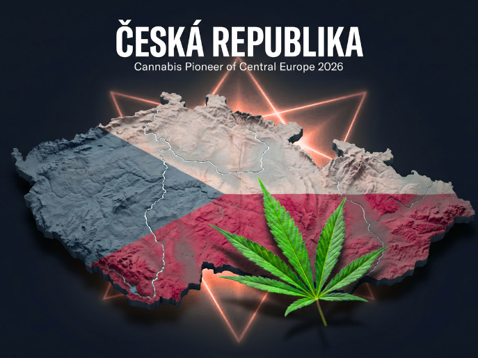 Legalizace konopí v ČR 2026: Průvodce novou érou a srovnání s Evropou