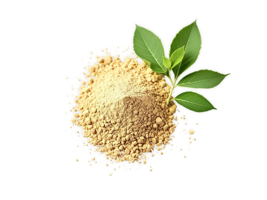 PRODUKTY 2025 12 02T115820.617