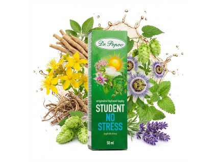 downloaded file 2026 02 17T085625.234