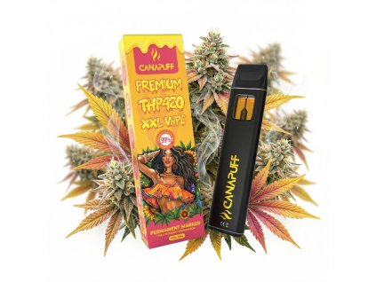 downloaded file (66)