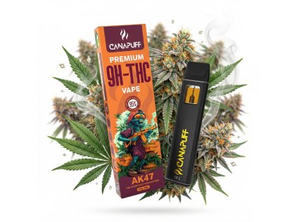 downloaded file (68)