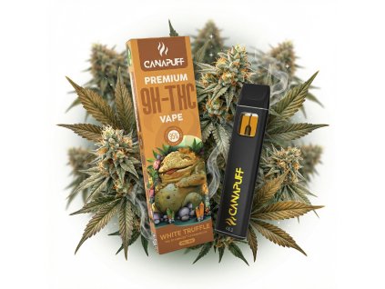 image 2026 02 10T105012.241