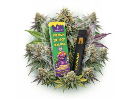 image 2026 02 10T101104.211