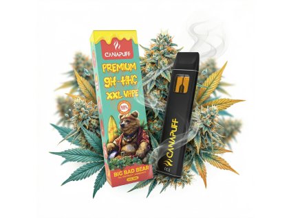 image 2026 02 10T101117.418