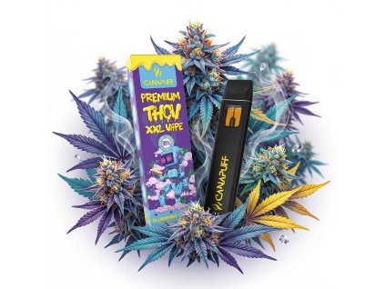 image 2026 02 10T101124.047