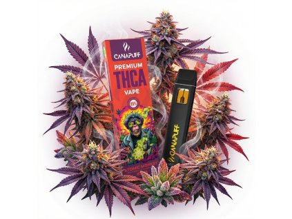 downloaded file (83)