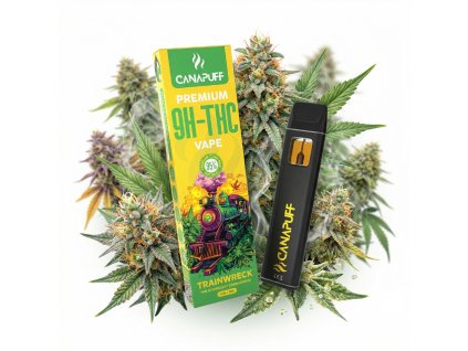 downloaded file (87)