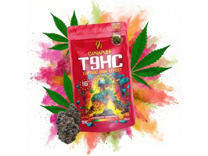 image 2026 02 13T092641.334