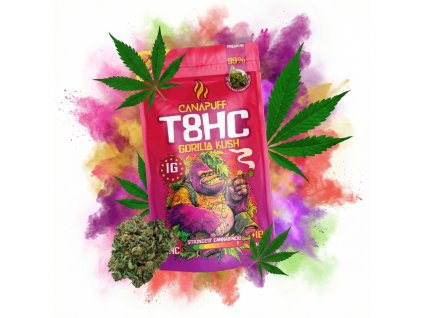 image 2026 02 13T092516.581