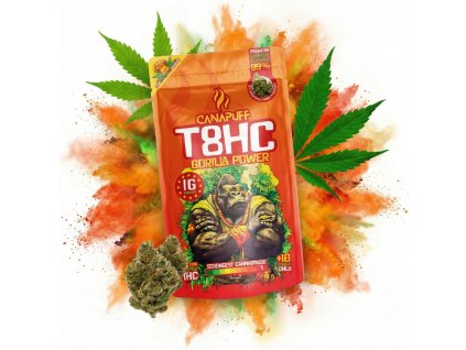 image 2026 02 13T091056.335