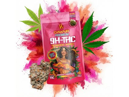 image 2026 02 13T084345.810