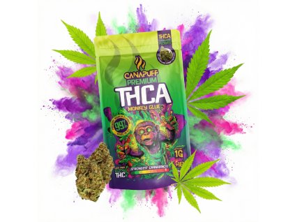 image 2026 02 13T082108.738