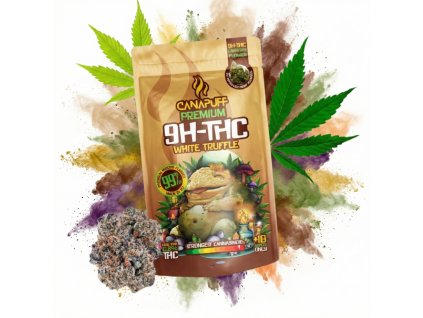 image 2026 02 13T081623.744